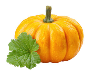Bright orange pumpkin with natural green leaf isolated on transparent background