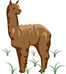 Alpaca Vectors