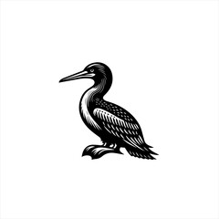 Obraz premium Stylized Black and White Illustration of a Loon.