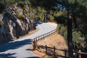 Winding Road Through Douro and Tua Valley Forests in Northern Portugal