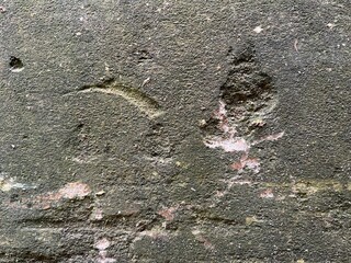  wall texture background. Abstract background and texture for design.