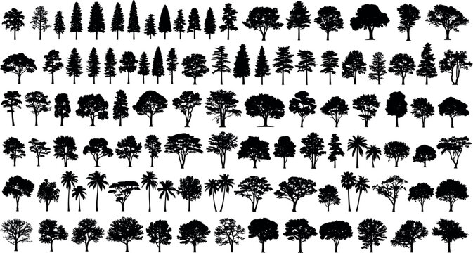 silhouette tree line drawing set, Side view, set of graphics trees elements outline symbol for architecture and landscape design drawing.