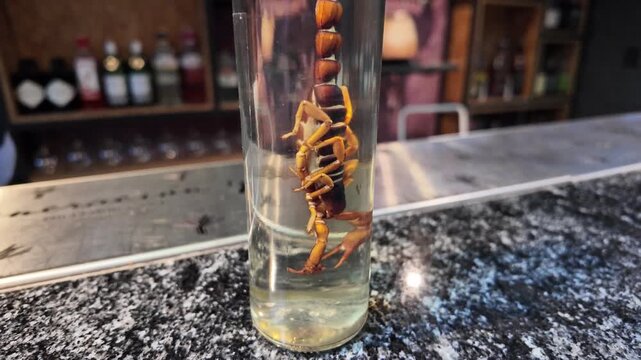 Mezcal with scorpion is a Mexican drink rich in history and tradition, a strong and spicy drink with medicinal properties.