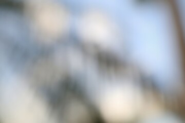 Ethereal winter light playing among frosty branches creating soft bokeh backgrounds and dreamy