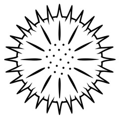 Obraz premium Sea Urchin fish vector illustration perfect for posters, icon, t-shirts, cards, wall art prints and ai design.