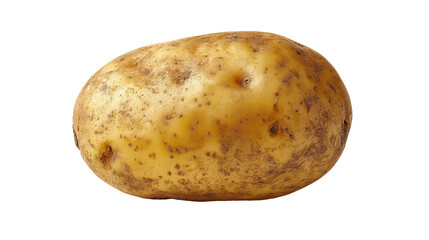 Fresh Potato on Transparent Background