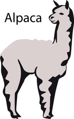 Alpaca vector images