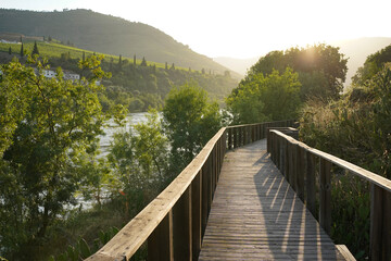 Strolling Along a Wooden Boardwalk on the Douro Riverbank