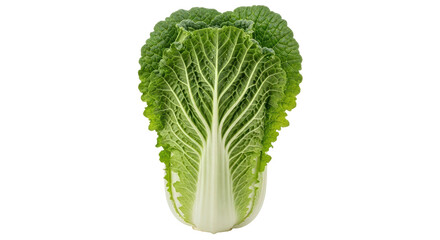 Isolated Napa Cabbage