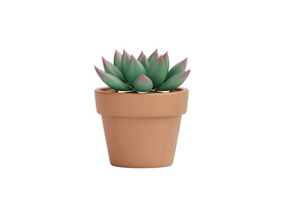 Fototapeta premium A green succulent plant with pink tips in a terracotta pot isolated on a transparent background