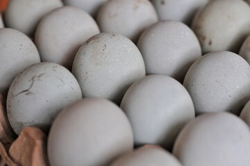 eggs on rack at minimarket