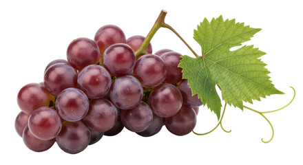 Obraz premium Isolated Grapes