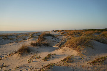 Sunset light at the Sand Dunes of Sao Jacinto Beach, Portugal