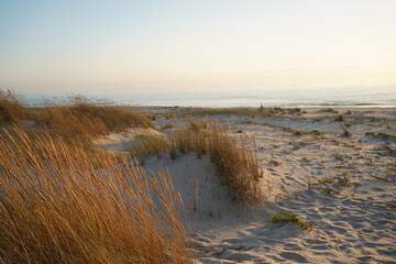 Sunset light at the Sand Dunes of Sao Jacinto Beach, Portugal