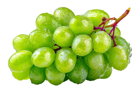 Lush green grapes with water droplets against transparent backdrop, showcasing fresh produce