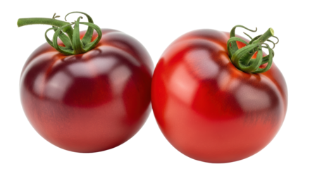 Isolated Two Red Tomatoes, Fresh Vegetables