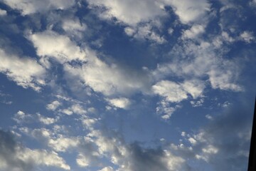 Serenity above a blue sky is filled with fluffy cumulus clouds in peaceful light