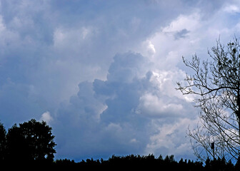 Obraz premium Expansive View of Majestic Gray Storm Clouds Gathering in the Sky with Silhouetted Trees