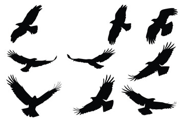 Obraz premium Silhouetted Birds Soaring with Freedom A Dynamic Composition of Avian Grace and Powerful Flight in Stunning Black and White