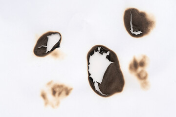 Burnt hole isolated on white paper. burns borders paper close up. Paper burn black stain mark close up.