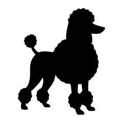 poodle dog silhouette Vector illustration