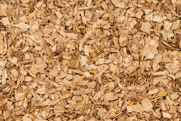 Wooden chips texture background close up. small wood chips for smoking top view. sawdust texture. ecological fuel