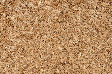Wooden chips texture background close up. small wood chips for smoking top view. sawdust texture. ecological fuel