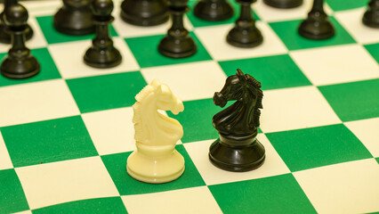 The confront between white and black horses, knight chess piece standing together on chessboard with player beside. Leadership, partnership, competitor, competition, and business strategy concept.