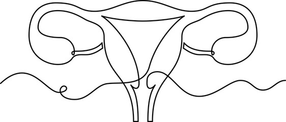 one line art Uterus vector illustration. line art, one continuous line, simple, hand drawn and sketch style. for icons, symbols, signs or logos. PNG