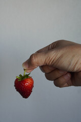Holding fresh green stem of a red single strawberry, There are water droplets on the strawberries, white wall cement background, fruit, fresh, health, copy space