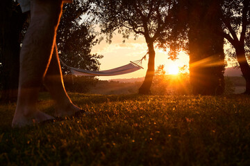 Amaca tra due alberi al tramonto.