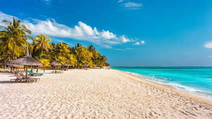 Palm trees on the tropical Le Morne beach, Mauritius. Tropical vacation background concept on Le...