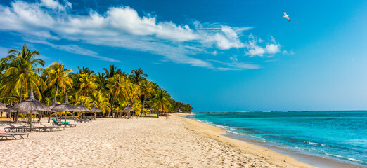 Paradise beach resort with palm trees and and tropical sea in Mauritius island. Summer vacation and tropical beach concept. Sandy beach with Le Morne beach on Mauritius island. Tropical landscape.