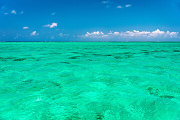 Water surface in vibrant green. View of a crystal clear sea water texture. View natural sea water, green background. Green water reflection. Green ocean wave.