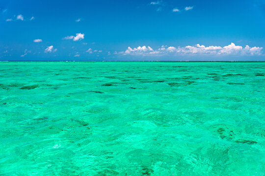 Water surface in vibrant green. View of a crystal clear sea water texture. View natural sea water, green background. Green water reflection. Green ocean wave. - Powered by Adobe
