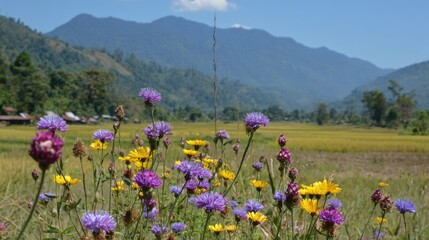 Vibrant Wildflowers in a Rice Paddy with Mountain Background