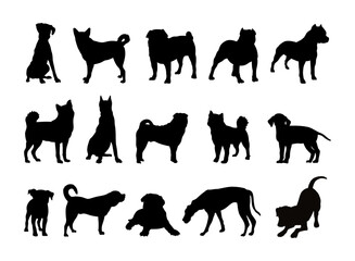 black silhouette of different dog breeds