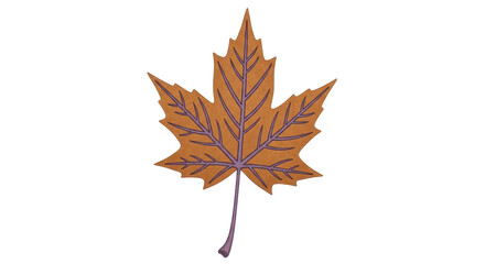 Isolated Maple Leaf