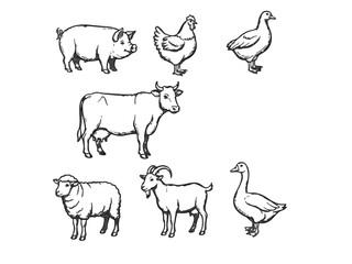 Hand-drawn outline icon set of farm animals. Includes pig, cow, goat, sheep, hen, and goose. Rustic sketch style, black linework on white background. 