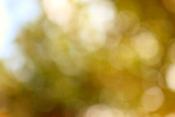 Abstract symphony of bokeh spheres, dancing with warm colors and suggesting a dreamy, ethereal