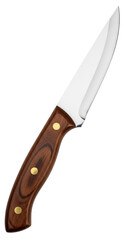 Sharp stainless steel paring knife with a dark brown wooden handle and three brass rivets, positioned diagonally on a clean white background. isolated PNG with Transparent Background