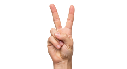Isolated Hand Sign