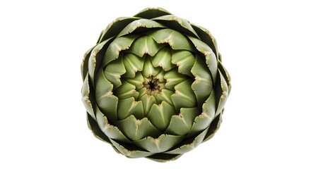 Obraz premium Globe Artichoke Top-Down a Geometric Prebiotic Fiber for Gut Health Isolated on White Background 