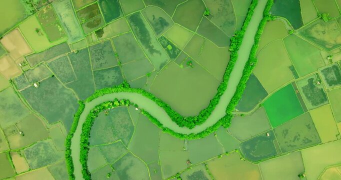 Aerial Footage of Feeding in Tropical Fish Farm
