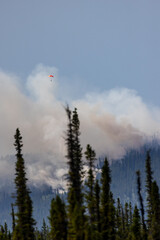 A smokejumper parachutes into a wildfire.