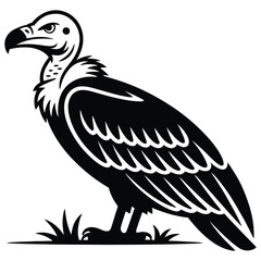 Fototapeta premium vector illustration of a vulture