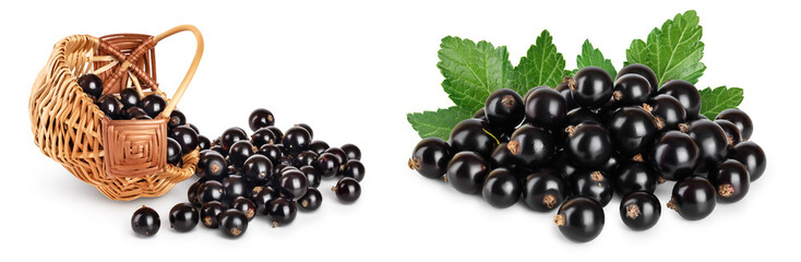 black currant in wicker basket isolated on white background with full depth of field