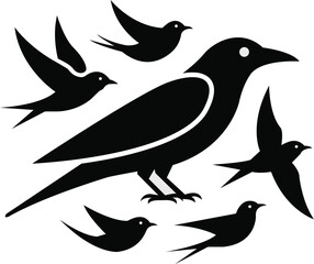 Bird silhouette swallow