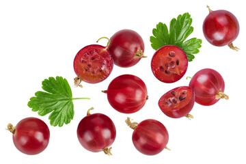 Red gooseberry isolated on white background. Top view. Flat lay.