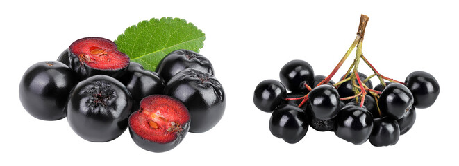 Chokeberry with leaf isolated on white background. Black aronia.